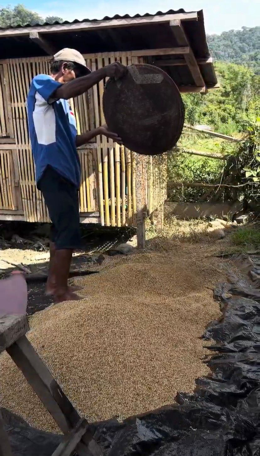 CARA BERTANI TRADISIONAL : memisahkan ampas padi (no wiri)